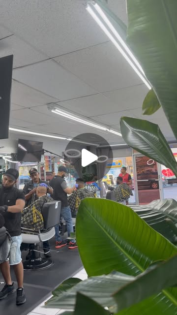 Barbershop chairs at Batista Barbershop Longwood Avenue