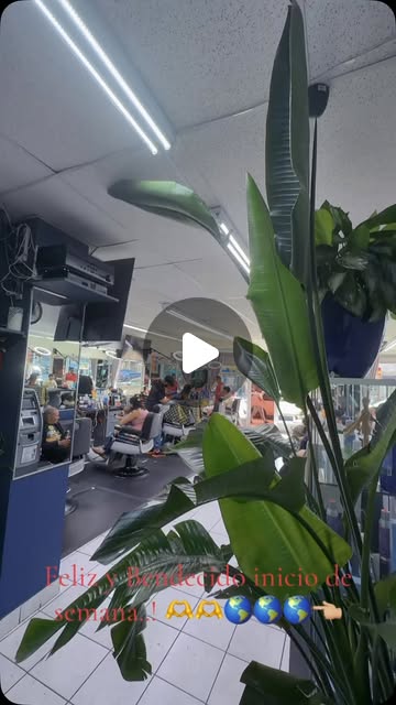 Fresh cut reveal at Batista Barbershop